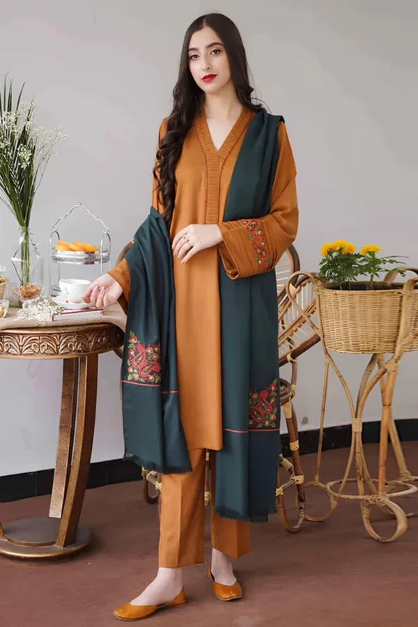 KN400 - Asling Winter 3 Piece Dhanak suit with Embroidered Shawll