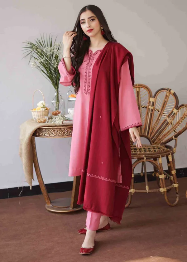 KN406-Asling Winter 3 Piece Dhanak Suit with Embroidered Shawll