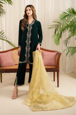 KN630-WINTER Velvet Embroidered Dress With Organza embroidered Dopata